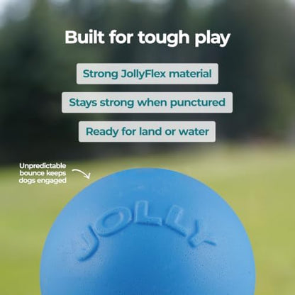 Jolly Pets Bounce-n-Play Dog Toy Ball, 6 Inches, Blueberry, All Breed Sizes - Image 6