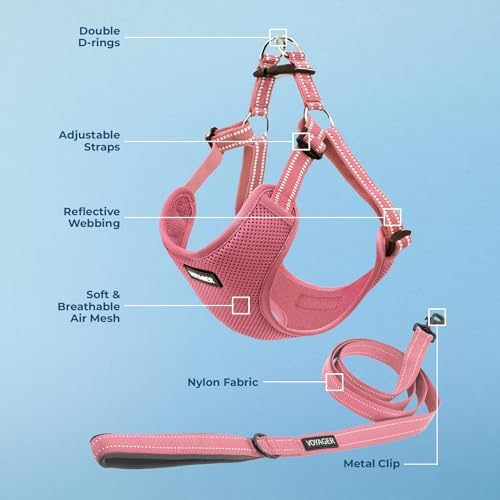 Best Pet Supplies Voyager Adjustable Step-in Flex Breathable Mesh Dog Harness for Small Medium Large Dogs Leash Set (Pink), M - Image 3