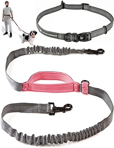 Exquisite Hands-Free Leash for Medium Dogs: Perfect for Active Pet Owners Comfortable, Durable & Ideal for Running, Walking, Hiking. Premium Dog Waist Leash with Bungee. Must-Have Dog Gear by PetDreamland