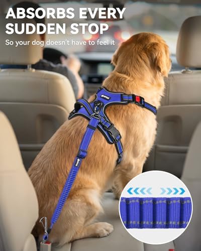 Joytale 3-in-1 Bungee Dog Seat Belt for Car, Medium Large Dogs, Navy Blue - Image 3