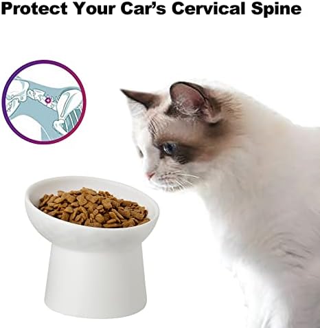 Elevated Cat Bowls, 15° Tilted Ceramic Raised Cat Food and Water Bowl Set, Whisker-Friendly Porcelain Pet Feeder Dishes for Indoor Cats and Small Dogs,White,5.2 Inch,4 Pack - Image 3