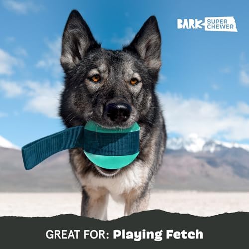 BarkBox Super Chewer Rope Dog Toy - Large - Image 5
