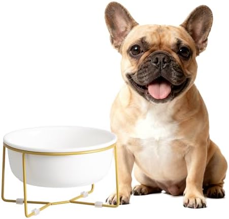 Elevated Ceramic Dog Bowl with Metal Stand - Raised Feeding Dish for Small and Medium Dogs - Ideal for Food or Water - Each Holds 600ml / 3.2 Cups (Approx. 320g) - White by HCHLQLZ