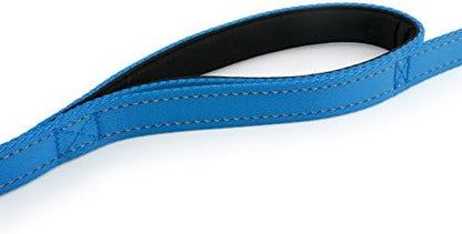 Primal Pet Gear Dog Leash 8ft Long - Blue - Traffic Padded Two Handle - Heavy Duty - Double Handles Lead for Control Safety Training - Leashes for Large Dogs or Medium Dogs - Dual Handles Leads - Image 5