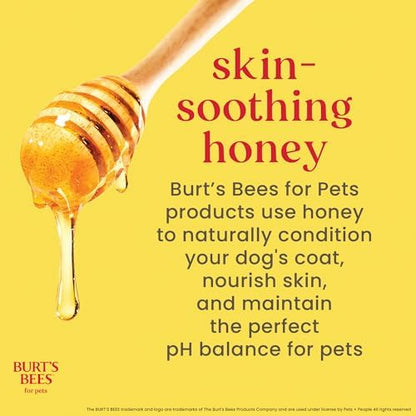 Burts Bees for Pets Honey Multipurpose Dog Grooming Wipes, 50 Count, 3-Pack - Image 3