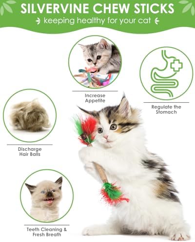 TINDTOP Cat Chew Toys, Silvervine Chew Sticks with 2 Pack Chew Ropes - Image 3