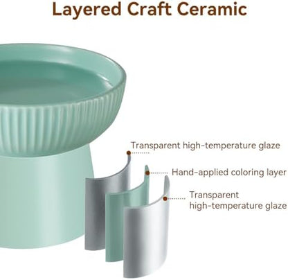 Ceramic Elevated Cat Bowls-Water Bowl, 15° Tilted Design, Anti-Vomiting & Spine Protection, Prevent Whisker Fatigue for Kittens to Adult Cats and Small Dogs (White-15° Cat Bowls-2) - Image 3