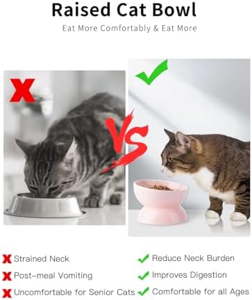 ABRUTY Cat Water Bowl, 16 OZ Ceramic Elevated Cat Bowls, 15° Tilted and Raised Pet Food Dish, Anti Vomiting Protect Pets' Spines and Whisker Fatigue - Image 7