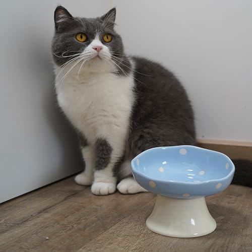 Blue Mushroom Cat Bowl, Elevated Ceramic Bowl for Cats - Image 6