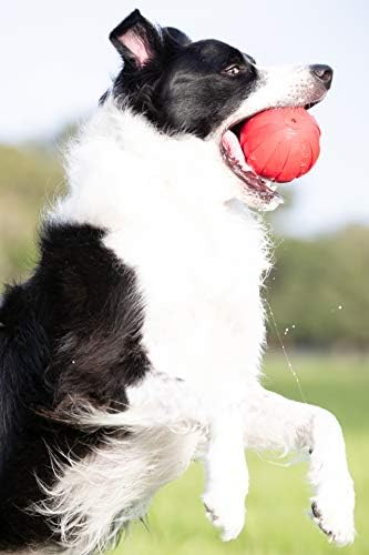 Nerf Dog Rubber Ball Dog Toy with Interactive Squeaker, Lightweight, Durable and Water Resistant, 4 Inch Diameter for Medium/Large Breeds, Single Unit, Red - Image 6