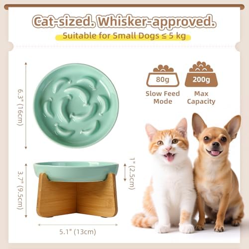 Elevated Ceramic Slow Feeder Cat Bowl, 6.3'' Wide Whisker Friendly - Image 2