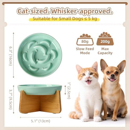 Elevated Ceramic Slow Feeder Cat Bowl, 6.3'' Wide Whisker Friendly - Image 2