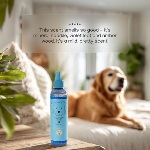 Pet Odor Neutralizing Air and Fabric Spray — Pet-Safe Deodorizer with Zinc Salt — Vegan and Cruelty-Free — Fresh Rain & Wild Violet Scent – Made in USA by Purrfect Paws - Image 5