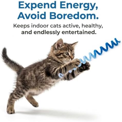 Glaciart One Felt Spring Cat Toy – 3 Pcs Soft Fuzzy Enrichment 100% Natural Wool - Interactive Stretchable Play Cat Toy Set - Safe for Pets, Non-AZO Colored Dyes - 30” Long - Image 5