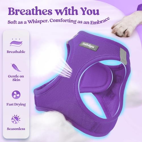 rabbitgoo Dog Harness Small Sized and Leash Set, Step-in Puppy Pet Vest - Image 3