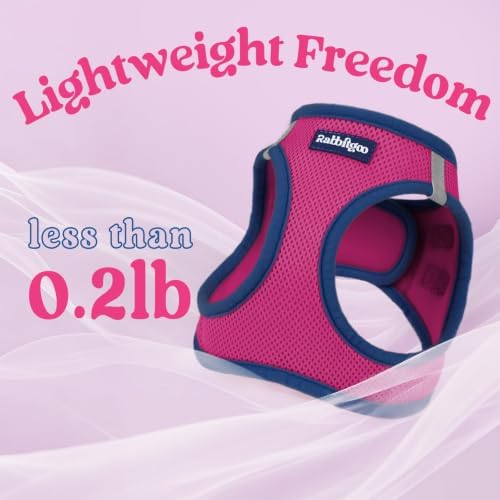 rabbitgoo Dog Harness Small Sized and Leash Set, Step in Soft Vest - Image 7