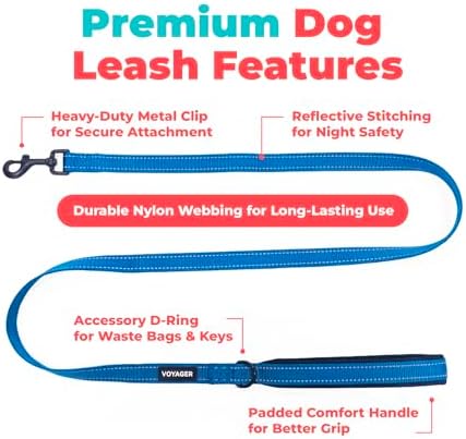 Best Pet Supplies Voyager Nylon Dog Leash - Royal Blue, Medium - Image 2