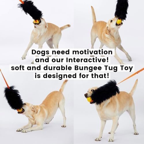 HOWGO Dog Rope,Dog Bungee Chaser 100% Sheepskin,Sheep Smell Tug for All Breeds(Green, Long Without Ball 2Pack)