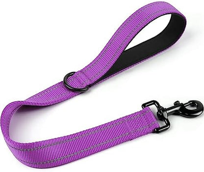 Joytale Short Dog Leash for Close Control & Training, 24", Purple by Joytale