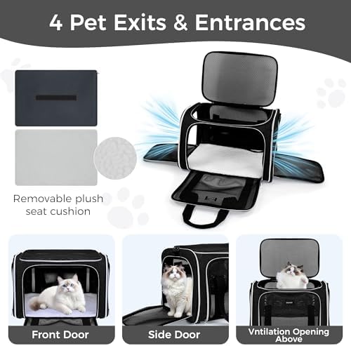 BAGLHER Pet Travel Carrier, Cat Carriers Dog Carrier for Small Medium Cats Dogs Puppies, Airline Approved Small Dog Carrier Soft Sided, Collapsible Puppy Carrier. Black - Image 4