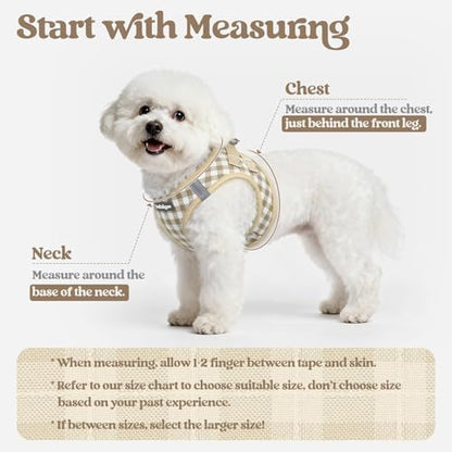 rabbitgoo Dog Harness Medium Sized and Leash Set, Step-in Puppy Pet Vest - Image 2