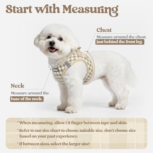 rabbitgoo Dog Harness Small Sized and Leash Set, Step-in Puppy Pet Vest - Image 2