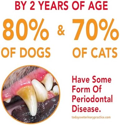 Petrodex Toothpaste for Dogs and Puppies, Cleans Teeth and Fights Bad Breath, Reduces Plaque and Tartar Formation, Enzymatic Toothpaste, Peanut Flavor, 2.5oz - Image 4