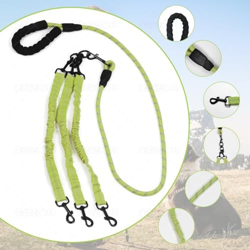 Dog Double Leashes,3-Dog Rope Bungee Double Leash - Tangle-Free Design with Padded Handle, 360° Swivel Control & Removable Feature for Walking Multiple Dogs - Image 3