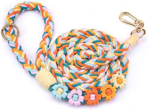 5FT Braided Cotton Rope Leash for Small, Medium and Large Dogs,Rainbow Mix by Panda+Jianghu