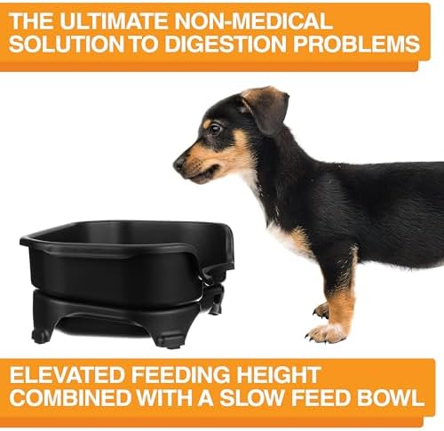 Neater Feeder Express Mess Proof Dog Bowls Elevated for Small Breed – Made in USA – No Spill Raised Slow Feeder Elevated Dog Bowl Stand, Stainless Steel Food and Water Bowl Set, Black - Image 6