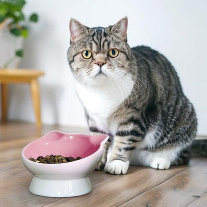 Raised Cat Food Bowl Ceramic 15° Tilted Cat Food Bowls Protect Cat's Spine Anti Vomiting Backflow Prevention for Adult, Kitten, and Small Dogs (Pink) - Image 6