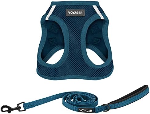 Best Pet Supplies Voyager Step-in Air All Weather Mesh Harness and Reflective Dog 5ft Leash Combo with Neoprene Handle, for Small, Medium and Large Breed Puppies - Blue, X-Small by BestPetSuppliesLLC