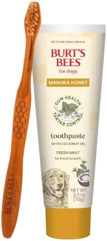 Burt's Bees Manuka Honey Fresh Mint Dog Dental Kit, 2.5 Oz by BurtsBeesforPets