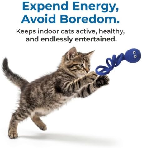 Glaciart One Felt Spring Cat Toy – 3 Pcs Soft Fuzzy Enrichment 100% Natural Wool - Interactive Stretchable Play Set - Safe for Pets, Non-AZO Colored Dyes - 4” Long - Image 5