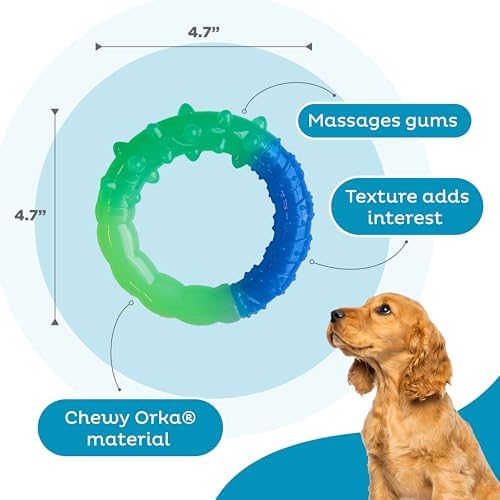 Grow-With-Me Ring Dental Dog Chew Toy, Bounces & Floats, 4.7" - Image 4