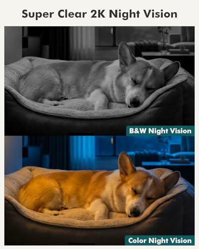 Dzees 2K Indoor Security Cameras, 360° WiFi Pet Camera, 2-Pack - Image 5