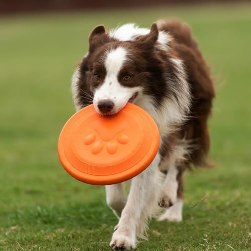 NAITELI Flyer-Soft Flying Disc Fetch Toy - for Small Dogs(Yellow,S) - Image 2