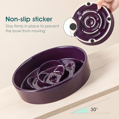 vancasso Slow Feeder Dog Bowl, 0.6 Cups Ceramic Small Puzzle Dog Food Dish - Image 6