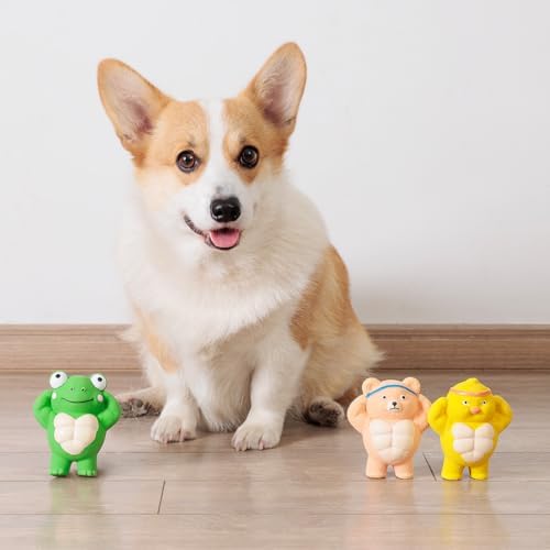 3 Pack Squeaky Dog Toys for Medium Dogs, Soft Latex Chicken Squeaky Dog Ball, Cute Funny Squeak Different Animals Frog Bear Chicken Pet Toys - Image 6