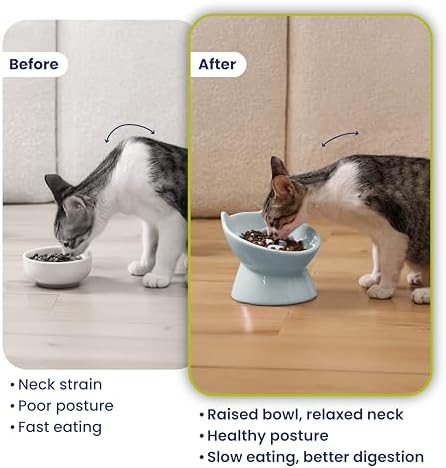 PawsPik Lynx Ceramic Raised Slow Dog & Cat Elevated Food Bowl, Sky Blue - Image 5