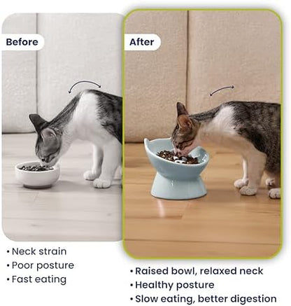 PawsPik Lynx Ceramic Raised Slow Dog & Cat Elevated Food Bowl, Sky Blue - Image 5
