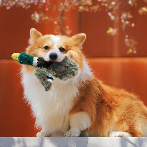 ALL FOR PAWS Duck Squeaky Doy Toy, Duck Dog Toy for Small Medium Breed, Puppy Fetch Toy with Squeaker, Plush Chew Dog Toy, 7.9 x 7.5 x 2 inches, Classic - Mallard S - Image 7