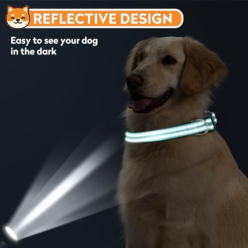 Reflective Dog Collar, Adjustable Soft Neoprene Padded,Teal,M - Image 6