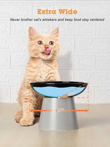 LoeJan Elevated Cat Food and Water Bowls Set, Extra Wide and Raised Ceramic Feeder, Anti-Vomit Whisker-Free Pressure Feeding Bowl for Kittens Adult Small Dogs (Black, Food Bowl) - Image 3