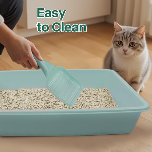 PAWISE Small Cat Litter Box,14.3 x 10.6 x 2.5 Kitten Litter Box Starter Kit,Low Entry Baby Kitten Training Litter Box with Scoop,Bowls,Cat Mouse Toy and Ball Toy,First Catty Owner Essentials (Green) - Image 5