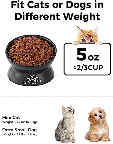 LoeJan Elevated Cat Food Bowl, 5 Oz Ceramic Raised and Tilted Water Bowl, Anti Vomiting and Protect Pets' Spines Dishes for Small Dog, Fat Faced Cat, Kitten (Black Pattern, 1 Pack) - Image 2