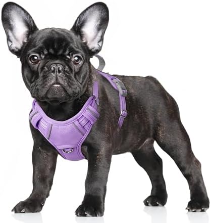 BARKBAY No Pull Dog Harness Large Reflective Dog Harness with Front Clip and Easy Control Handle for Walking Training Running with ID tag Pocket(Violet Purple,S) by BARKBAY