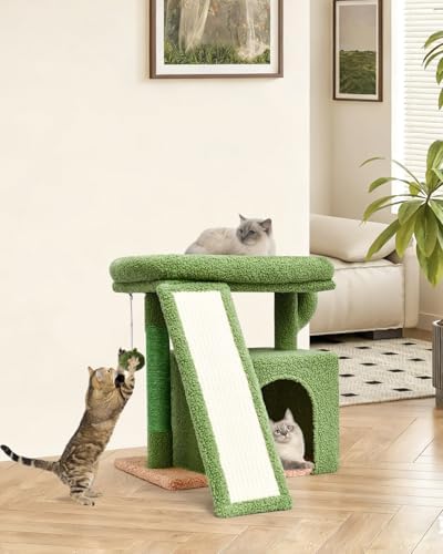 Small Cactus Cat Tree for Indoor Cats, Green Cat Tower with Scratching Post & Board, Unique Cactus Cat House with Perch for Kittens, Stable Condo and Stand (Green) - Image 6