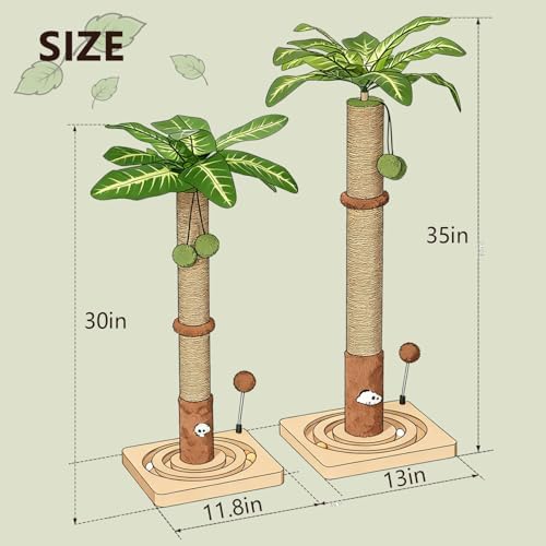 MECOOL Cat Scratching Post Sturdy and Premium Scratch Posts with Hanging Ball and Ball Track Toy Cute Cat Tree 30in for Indoor Kittens - Image 6