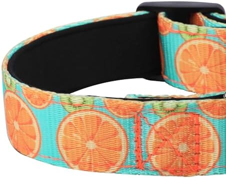Reflective Dog Collar, Adjustable Neoprene Padded,Summer Lemon,L - Image 5